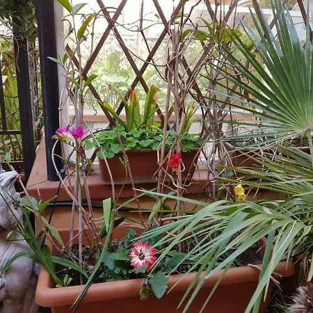 B&B B&B Alassio 알라시오